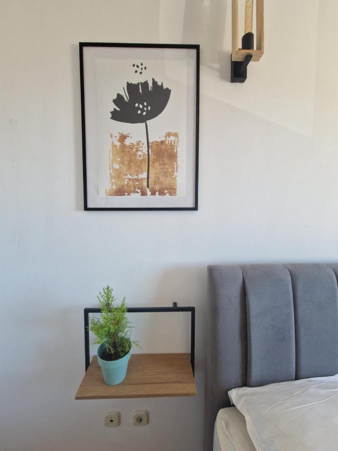 City Apartment Sanja マカルスカ エクステリア 写真