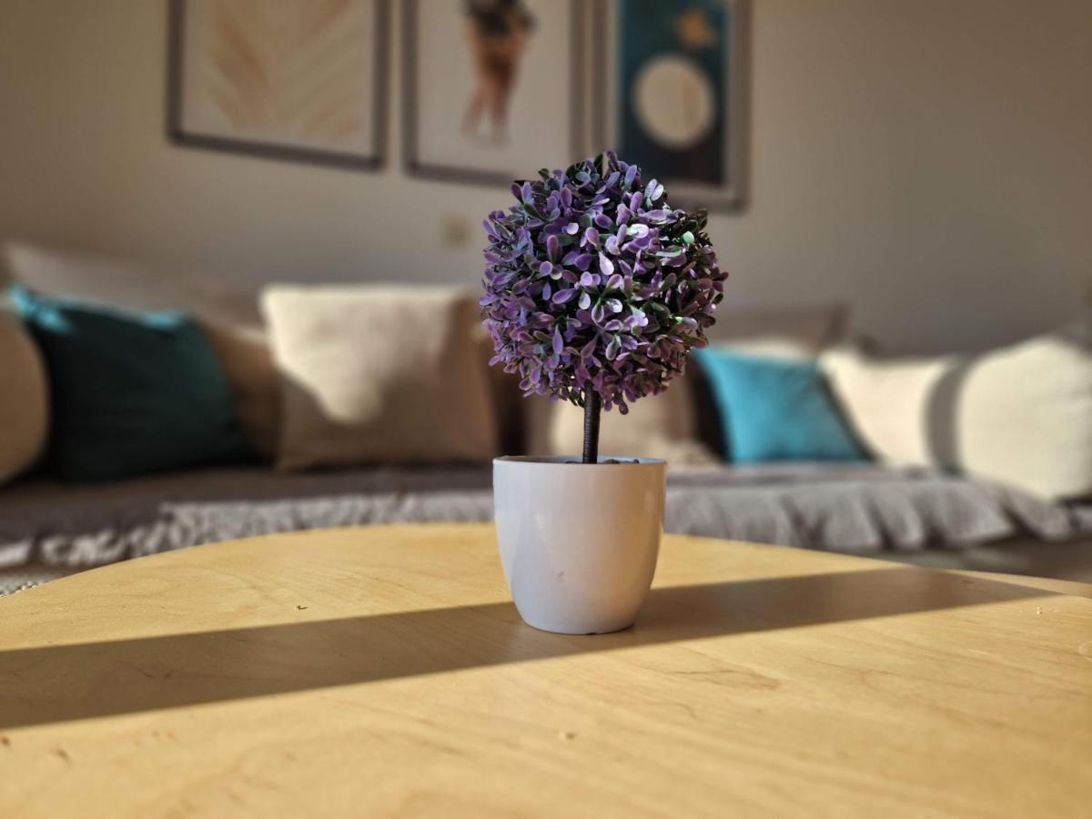 City Apartment Sanja マカルスカ エクステリア 写真